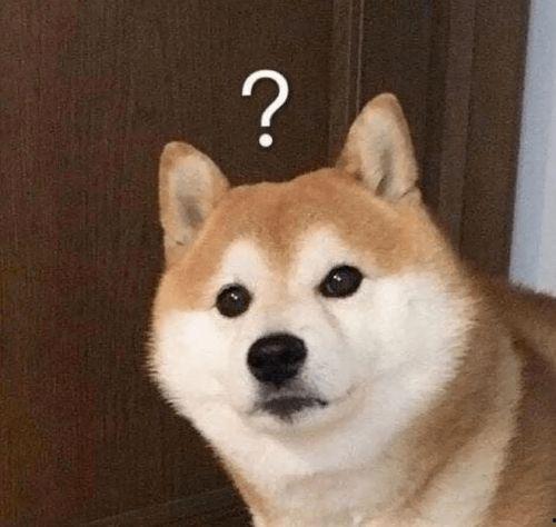 巴哥赤犬爆料了吗视频,背后惊人真相曝光