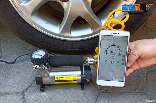 潍坊爆料群规则公告最新,维护秩序，共创和谐网络空间