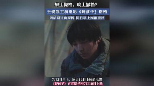 野孩子电影在线观看,探寻自然与成长的奇幻之旅 第2张 野孩子电影在线观看,探寻自然与成长的奇幻之旅 第2张