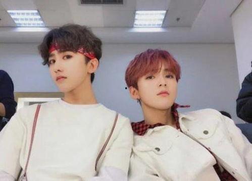 圈内爆料招同台刘耀文,圈内爆料引粉丝热议 第3张 圈内爆料招同台刘耀文,圈内爆料引粉丝热议 第3张