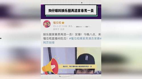 狗仔晚上爆料娱乐圈家暴,真相与反思  第2张